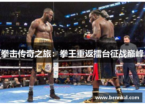 拳击传奇之旅：拳王重返擂台征战巅峰